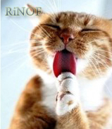 RinoF