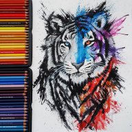 Sergo_Fox